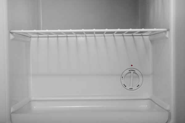 PremierTech PT-FR32S Mini Freezer Silver Congelatore verticale 31 litri -24 gradi 4 Stelle **** Classe E