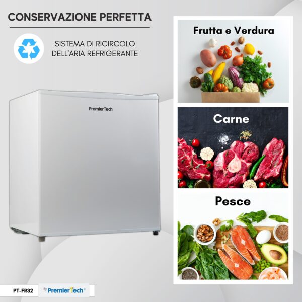PremierTech PT-FR32 Mini Freezer Congelatore verticale 31 litri -24 gradi 4 Stelle ****Classe E 47 x 45 x 51cm 39dB