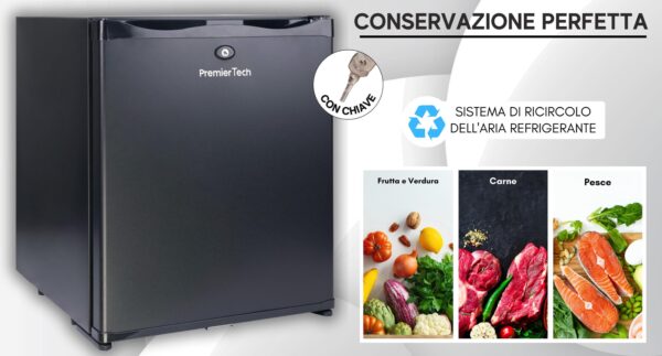 PremierTech Mini Frigo da Incasso 29L Bivalente 220V 12V con chiave PTF29LAD