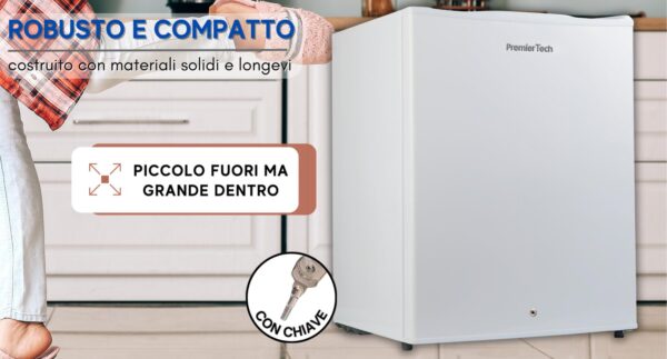 PremierTech PT-FR43K Mini Freezer Congelatore con chiave 42 litri da -24° gradi 4**** Stelle E 39dB