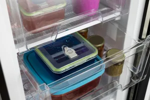 PremierTech PT-FR86B Freezer Congelatore 88 litri Nero -24° gradi 4**** Stelle E 39dB