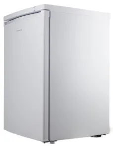 Premiertech PT91FR Congelatore Freezer verticale 91 litri Classe E sottotavolo