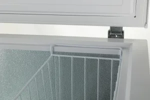 PremierTech PT142CP Congelatore a Pozzetto da 142 Litri 4 Stelle **** Classe Energetica E